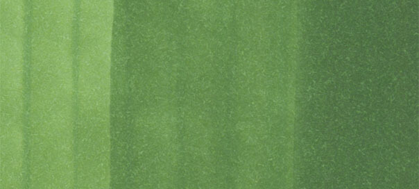 Заправка для маркеров Copic цв.YG67 зеленый мох