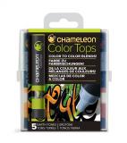 Набор цветовых блендеров Chameleon Earth Tones, оттенки земли 5 шт.