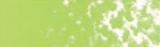 MUNGYO Сухая пастель "Gallery" soft цвет № 024 перманентный зеленый
