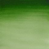 Акварель Cotman в маленьких кюветах, светло-зеленый Хукер