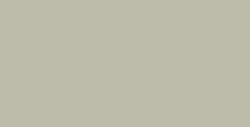 Карандаш профессиональный пастельный "PITT ", цвет 230- холодный серый №1