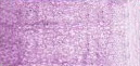 Карандаши профессиональные цветные "POLYCHROMOS", цвет 135 светлый красно фиолетовый