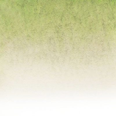 Vista-Artista Акварельный маркер-кисть Z436 серо-зеленый/Mistletoe