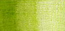 Карандаши профессиональные цветные "POLYCHROMOS", цвет 170 - нежно-зеленый
