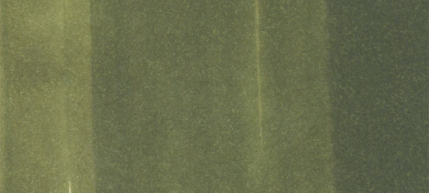 Заправка для маркеров Copic цв.YG99 морской зеленый
