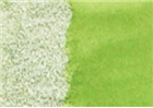 Карандаш акварельный ALBRECHT DURER, цвет 167 перманентный зелено-оливковый