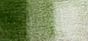 Карандаши профессиональные цветные "POLYCHROMOS", цвет 172 землянисто зеленый
