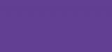 Чернила чертёжно-рисовальные TALENS, 11мл,  №536 Фиолетовый