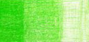 Карандаши профессиональные цветные "POLYCHROMOS", цвет 112-зеленая листва