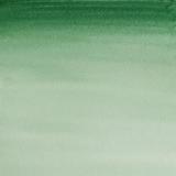 Акварель Cotman в маленьких кюветах, темно-зеленый Хукер
